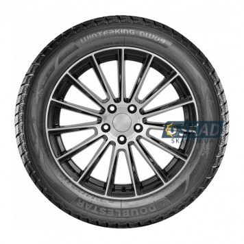 Doublestar Winterking DW09 315/35 R20 106T зимова шина-2