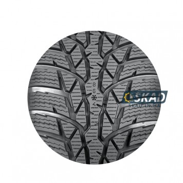 Nokian WR D4 225/55 R17 97H зимняя шина-5
