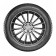 Doublestar Winterking DW09 315/35 R20 106T зимова шина