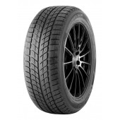 Doublestar Winterking DW09 215/45 R17 91H