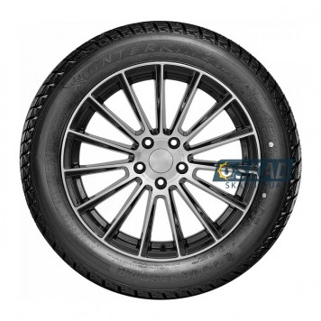Doublestar Winterking DW01 275/60 R20 119S XL зимняя шина-1