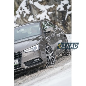 Nokian WRA4 225/40 R18 92V XL зимова шина-13