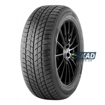 Doublestar Winterking DW09 315/35 R20 106T зимова шина