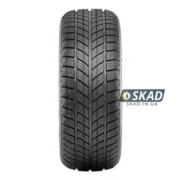 Doublestar Winterking DW09 315/35 R20 106T зимова шина-1