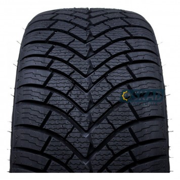 Double Coin DASP-PLUS 225/55 R17 101W XL всесезонная шина-1
