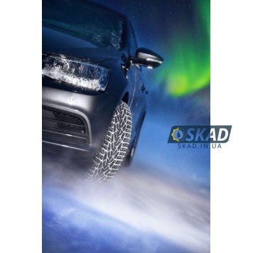 Nokian Nordman 7 185/70 R14 92T XL (ШИП) зимняя шина-13