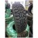 Double Coin Exploross X/T 255/70 R16 115/112S всесезонная шина