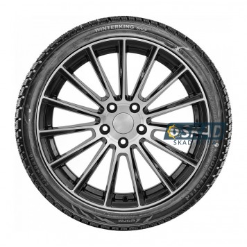 Doublestar Winterking DW08 165/70 R14 81T зимова шина-2