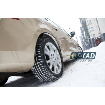 Nokian WR A3 225/45 R17 91V Run Flat зимняя шина-13