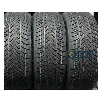 Triangle WinterX TW401 195/55 R16 91H XL зимняя шина-1