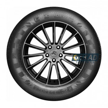 Doublestar Landrider DS01 265/65 R17 112T летняя шина-2
